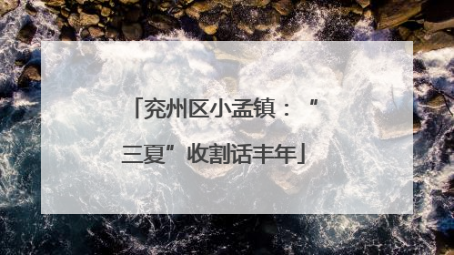 兖州区小孟镇：“三夏”收割话丰年